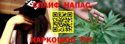 шишки Гусиноозёрск